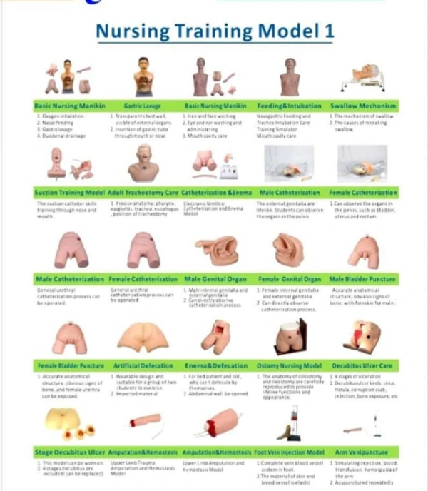 Nursing Training Models